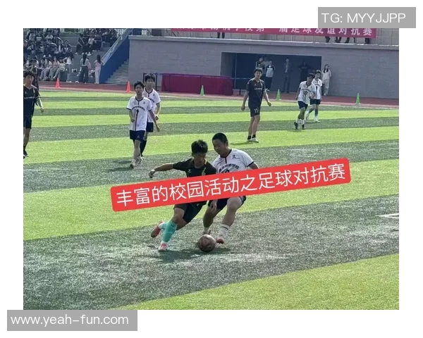 漯河足球明星盘点及其在国内外赛场的精彩表现与成就分析