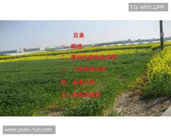 西安羽毛球队默契配合探讨及其对比赛成绩的影响分析